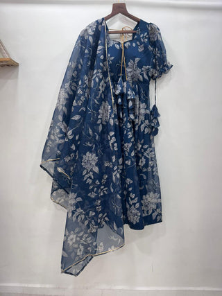 organza-taby-silk-gown-dupatta-with-digital-print-hand-work-color-navy-blue-9