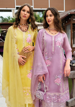 soft-organza-with-embroidery-moti-lace-work-3