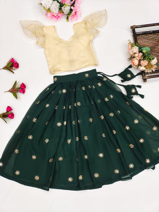 Lehenga Choli - Heavy Net With Beautiful Golden Zari Embroidery Butta Work