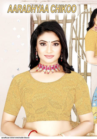 aaradhyaa-velvet-stretchable-blouse