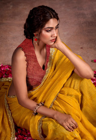 chiffon-saree-embroidery-work-color-gold-2