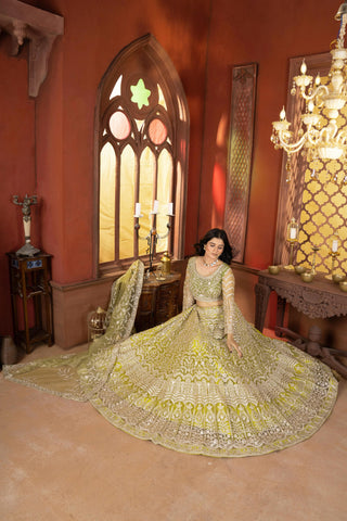 lehenga- choli -dupatta-set-net-embroidery-sequence-work-color-green-5