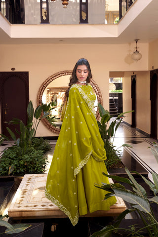 lehenga-choli-dupatta-set-star-georgette-pearl-coding-sequins-embroidery-work-color-pistachio-2