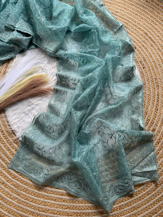 pure-organza-silk-saree-shiny-fabric-embroidery-viscose-thread-hotflix-diamond-work-color-blue-2