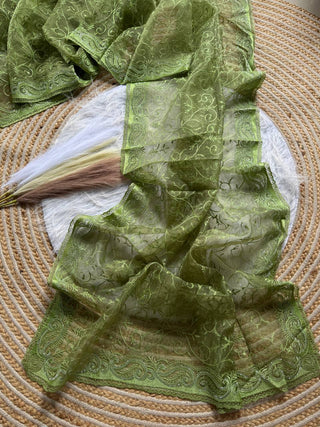 pure-organza-silk-saree-shiny-fabric-embroidery-viscose-thread-hotflix-diamond-work-color-green-2