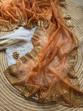 pure-tissue-silk-saree-embroidery-viscos-thread-sequins-work-color-brown-2