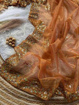 pure-tissue-silk-saree-embroidery-viscos-thread-sequins-work-color-brown-3
