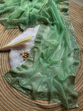 pure-tissue-silk-saree-embroidery-viscos-thread-sequins-work-color-green-2