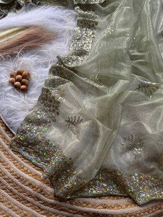pure-tissue-silk-saree-embroidery-viscos-thread-sequins-work-color-silver-3