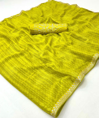 soft-chiffon-fabric-with-embroidery-sequence-coding-work-color-pistachio-2