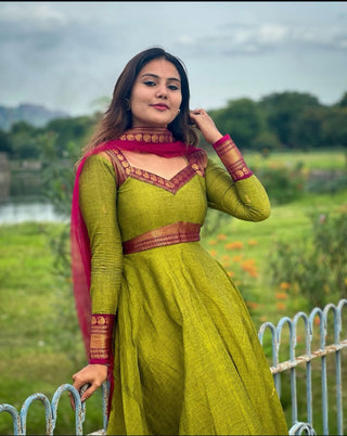 vichitra-silk-gown-dupatta-jacquard-weaving-zari-border-work-color-pistachio-2
