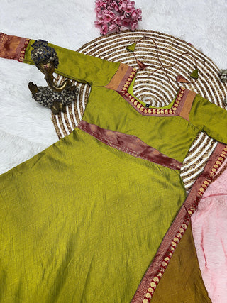 vichitra-silk-gown-dupatta-jacquard-weaving-zari-border-work-color-pistachio-4